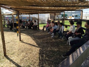 アルパカショーも開催中。ちゃんとペルー人かボリビア人と思われる人たちがやってます。