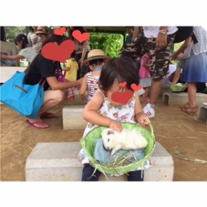 列に並んでカゴさえ入手できれば、モルモット触り放題