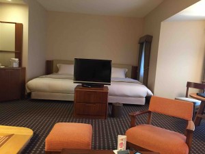 ソファの向こうにはテレビ、そしてベッド