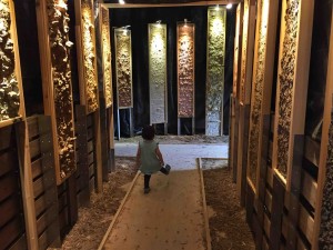 もぐらっぽい壁