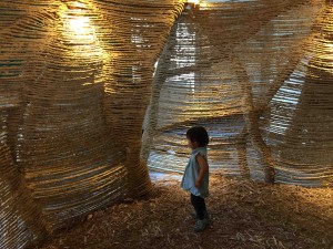 もぐらっぽい囲い