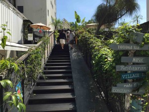 入ってすぐの階段をのぼるとショップやギャラリー、カフェが。