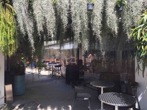 雰囲気はまるで海外だし、