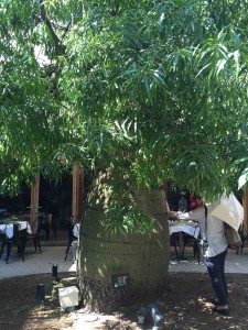 ボトルツリーで充電する図