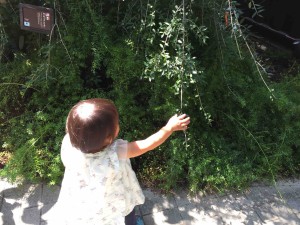 子どもはちゃんと楽しそう。