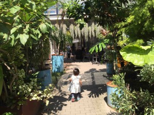 世界中から集められた植物で、異空間に迷い込んだかのよう