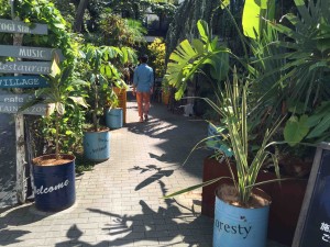 まさに都会のオアシスです。