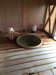 丸い方はかなりぬるめ。１歳児はOK。ただ親にはぬるすぎ（苦笑）。