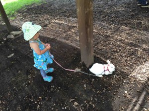 リードをつけてお散歩されるうさぎ、初めてみました（笑）