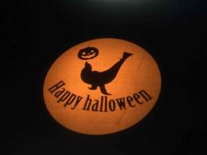 床に映し出されたハロウィンの模様も、よく見るとアシカ！