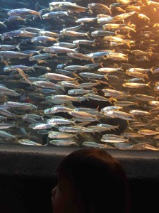 オレンジ色に！！