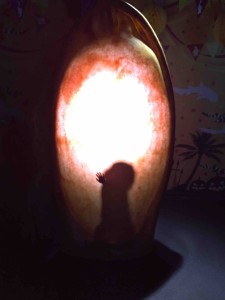 イヌザメの赤ちゃんになってみた