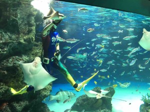 餌付けタイムも健在