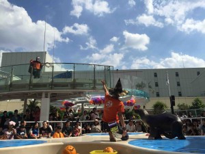 まずいきなり仮面をかぶったオバケvsアシカ！うちの娘は、だいぶ怖がり、家に帰ってこの写真をみてもこわがっています（苦笑）