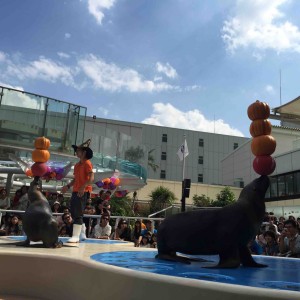 ボールの代わりに載せるのは、カボチャ！