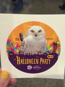 わたしたちは「フクロウ」バージョンでした