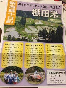 同封されていたチラシがこれ