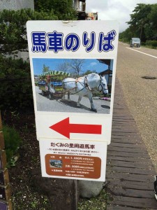 馬車で「たくみの里」内の遊覧もできます
