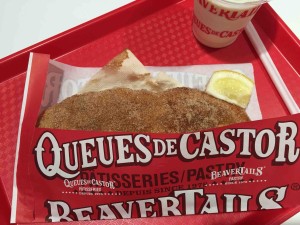 逆方向からも撮ってみた