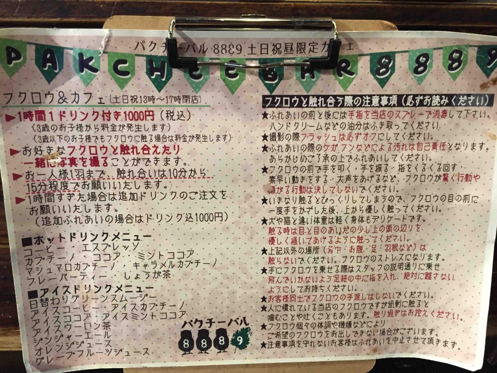 ふくろうの触り方、いろいろ気を使うようです