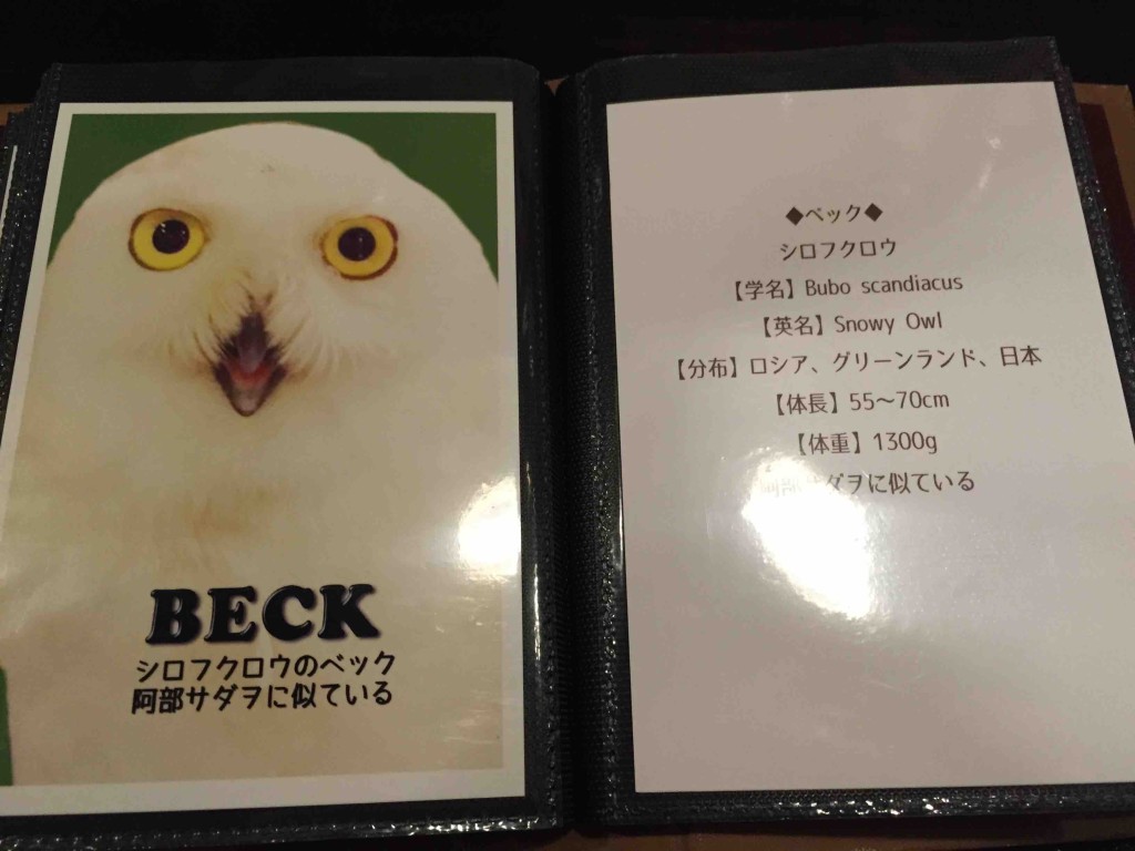 名前、種類、顔の特徴が書いてあって、遊び心も◎