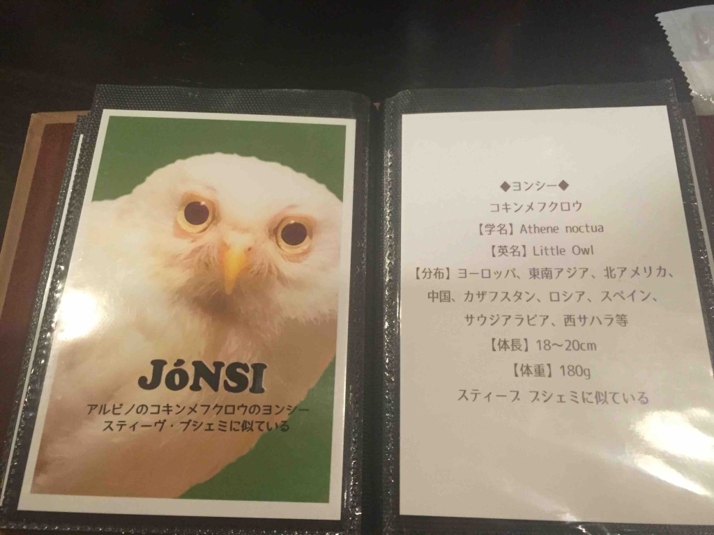 フクロウふくろうカフェパクチーバル8889