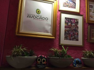 登り切るといきなりメキシカンです