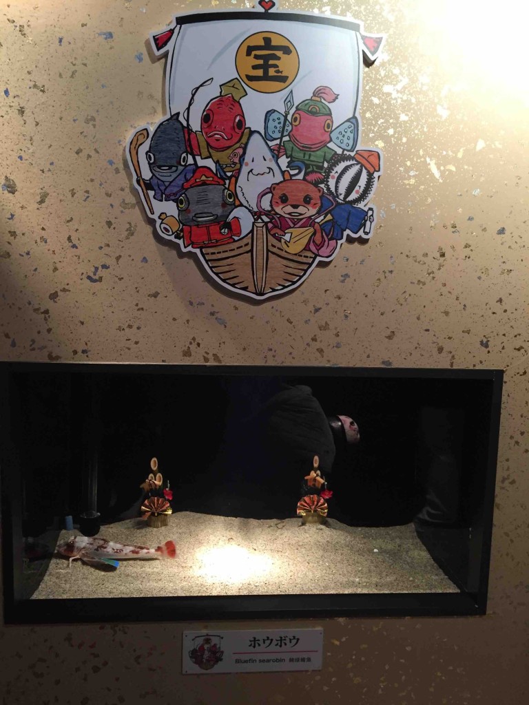 ホウボウもこうやってみると神々しいです