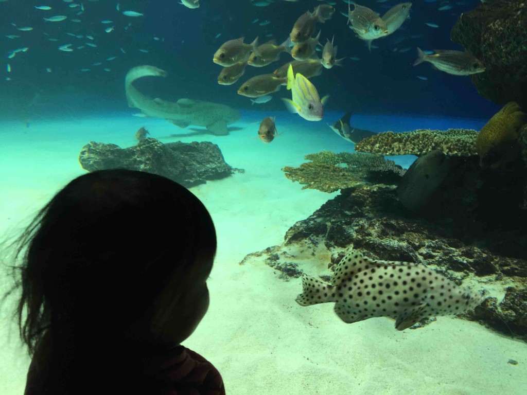 激混みでも、子どもは自在に動き回る。で大人は追いかけるのが大変（汗）