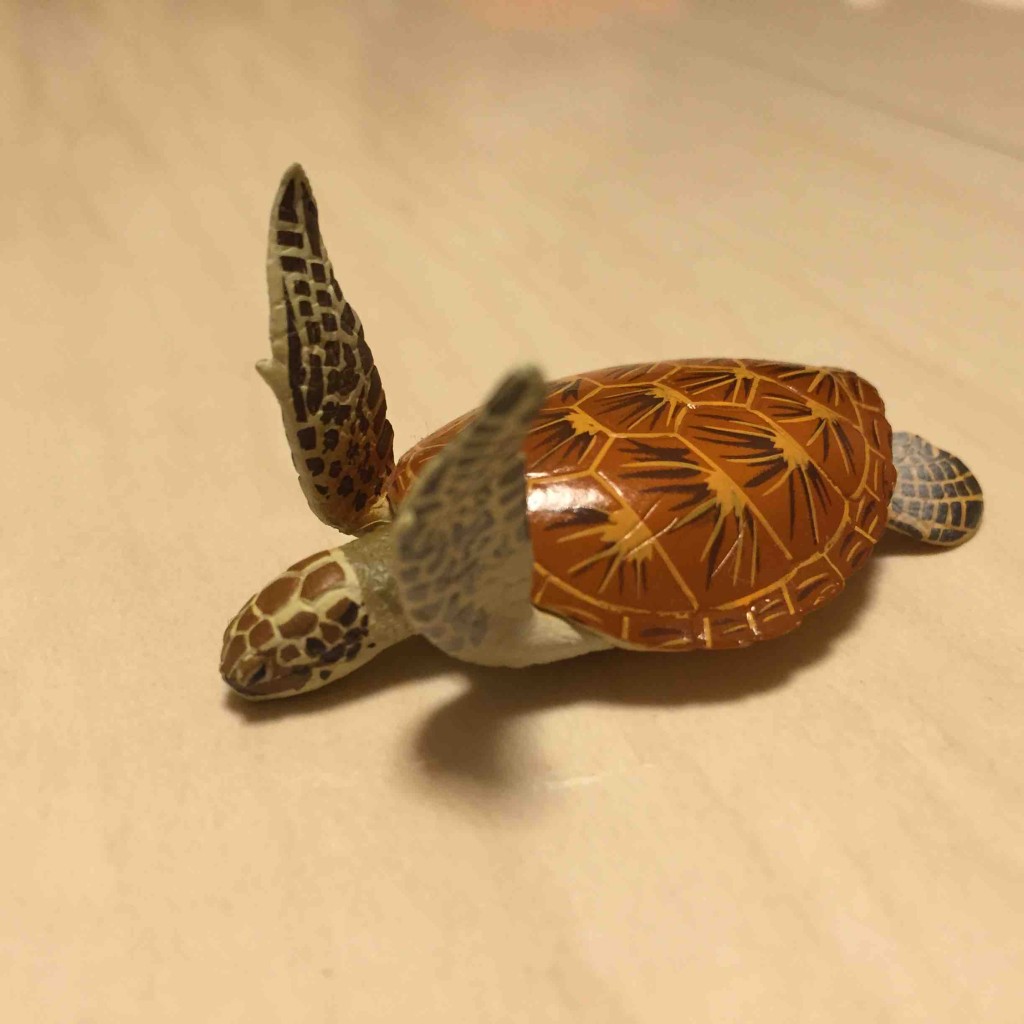 ２歳児、人生初のガチャガチャは海洋堂のウミガメでした。