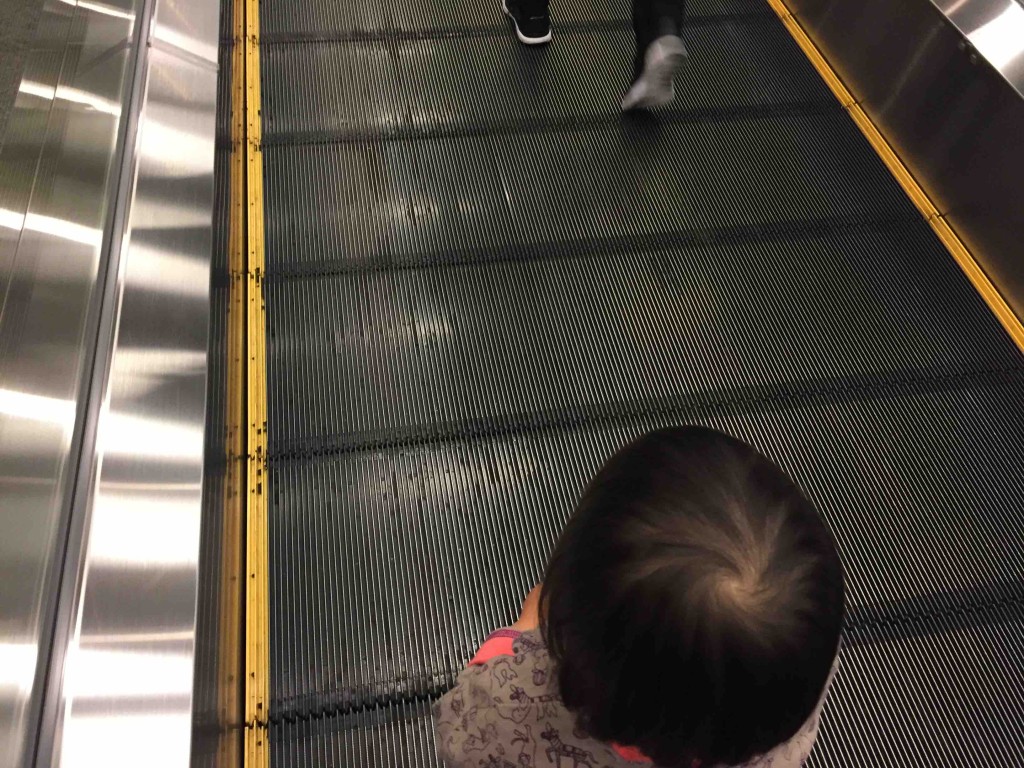 動く歩道が大好きすぎて、端から端まで・・・時間かかりますよー、これ。