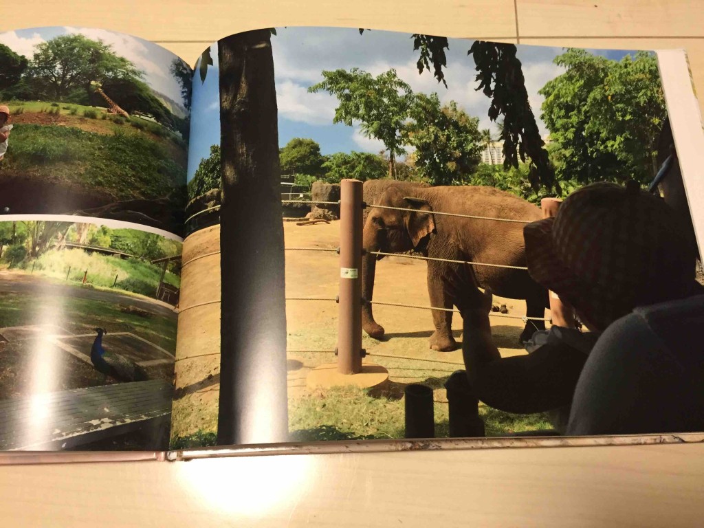 やっぱりワイドが迫力があっていい！