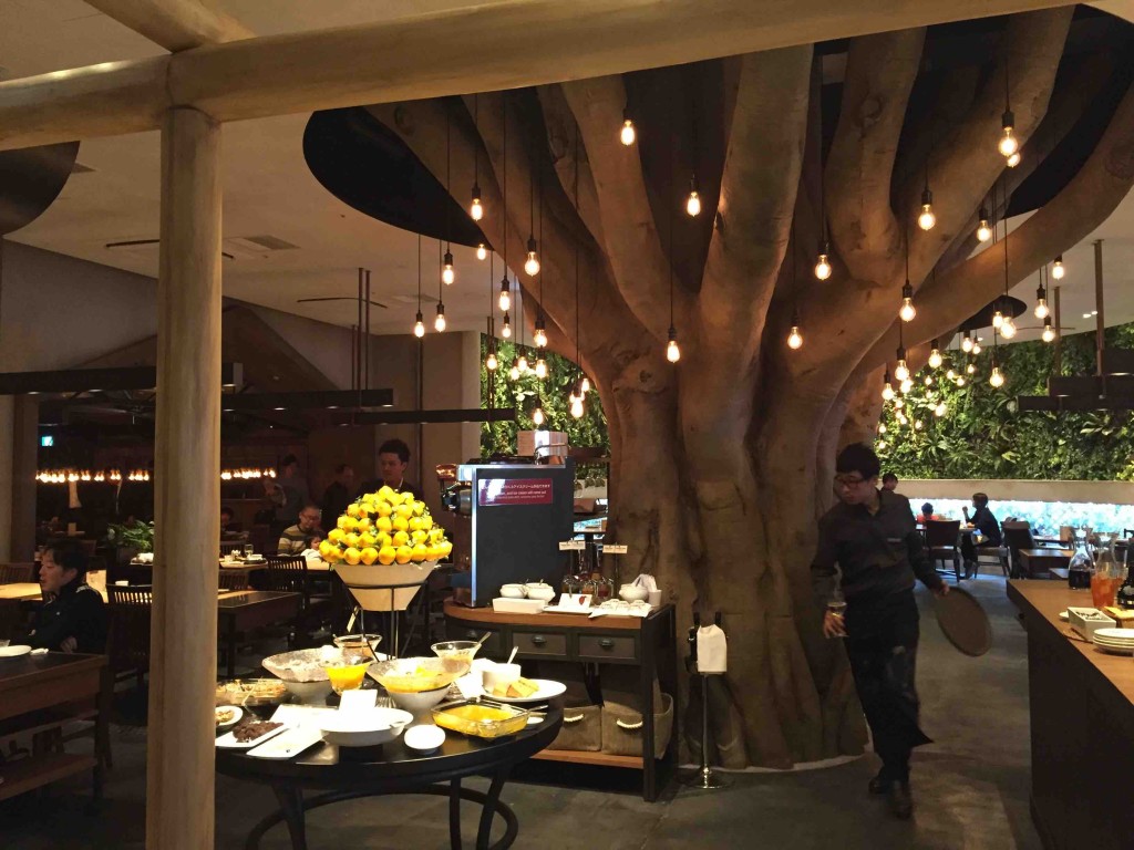 お店の真ん中に大きな木！！