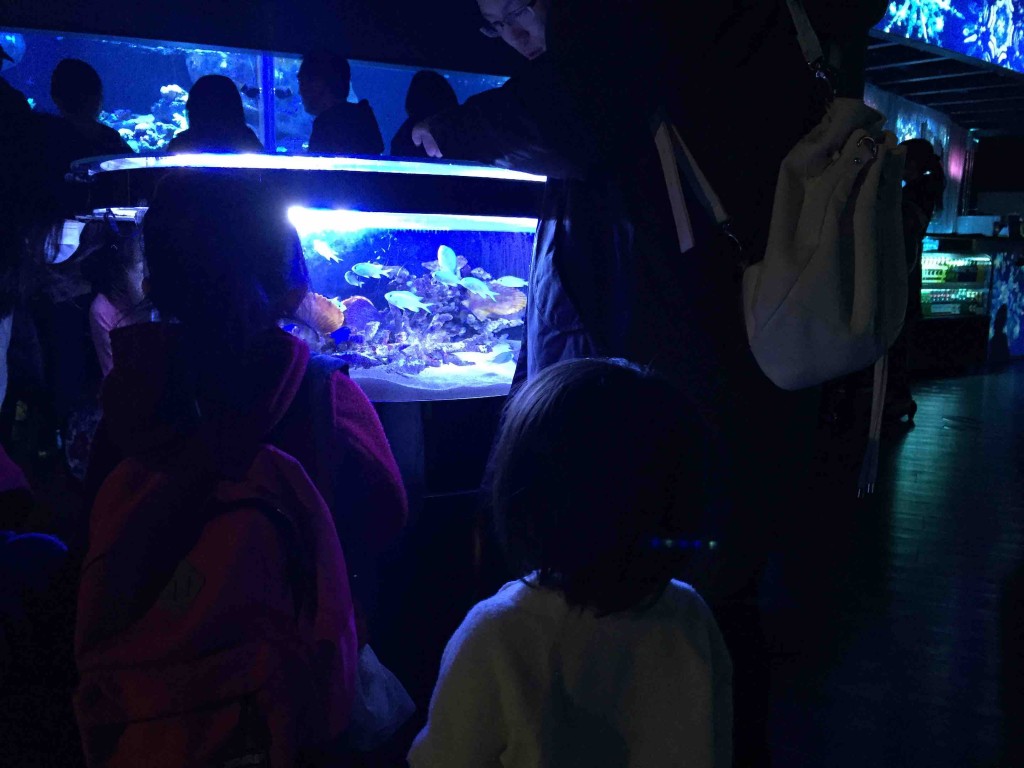 館内のカフェもおしゃれ。テーブルが水槽になってる！？
