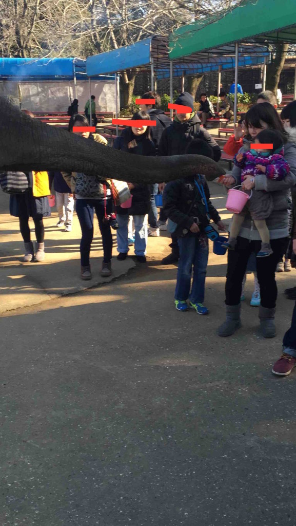 園内で売っているエサ（500円）を購入すれば、誰でも参加可能。