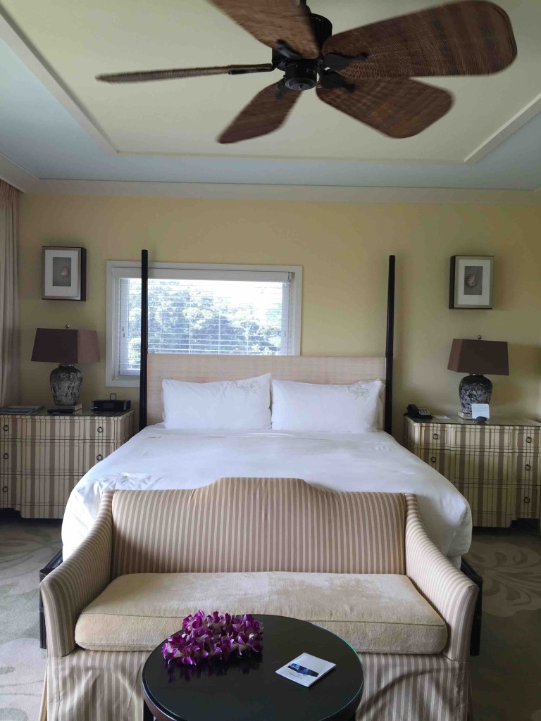 正面から撮ると、ほら、全然素敵。