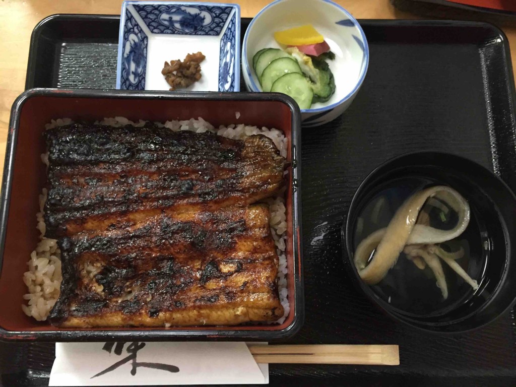 菊　3100円（関西風）