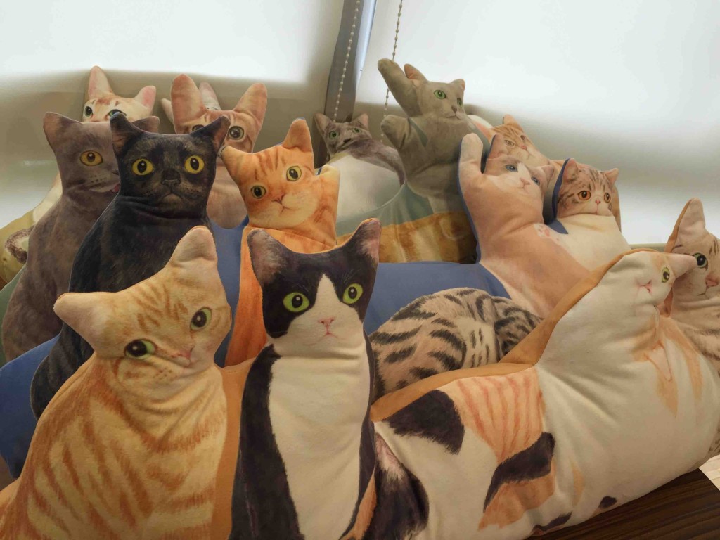 YOU+MORE！ にゃんともぜいたくな 猫まみれハーレムクッションの会（4回限定コレクション）5600円（税抜）