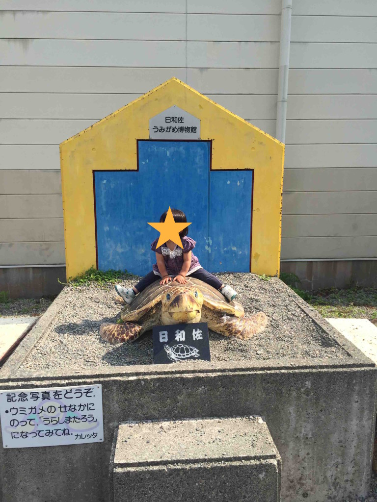 建物を出ると、記念撮影用のちゃんとしたウミガメも用意されておりました