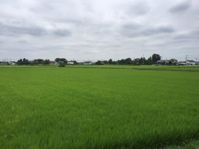 こんな田園風景の中を通ってたどり着くのが・・・