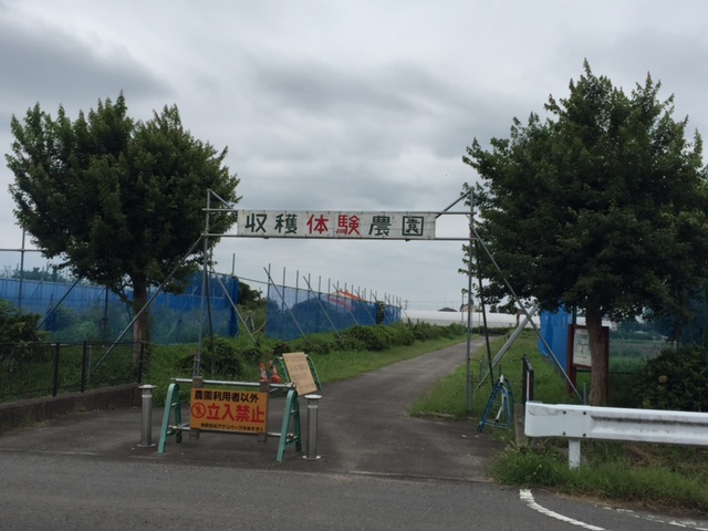 「アグリパークゆめすぎと」の建物と道を挟んである収穫体験農園