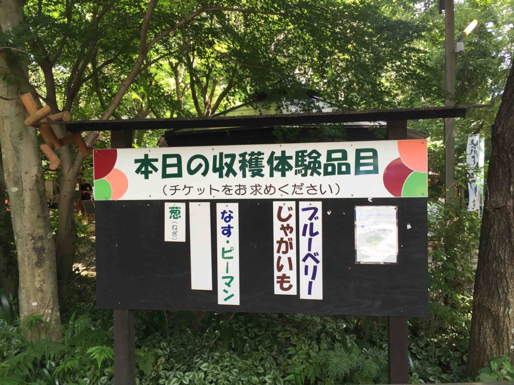 その日収穫できるものが掲示されています