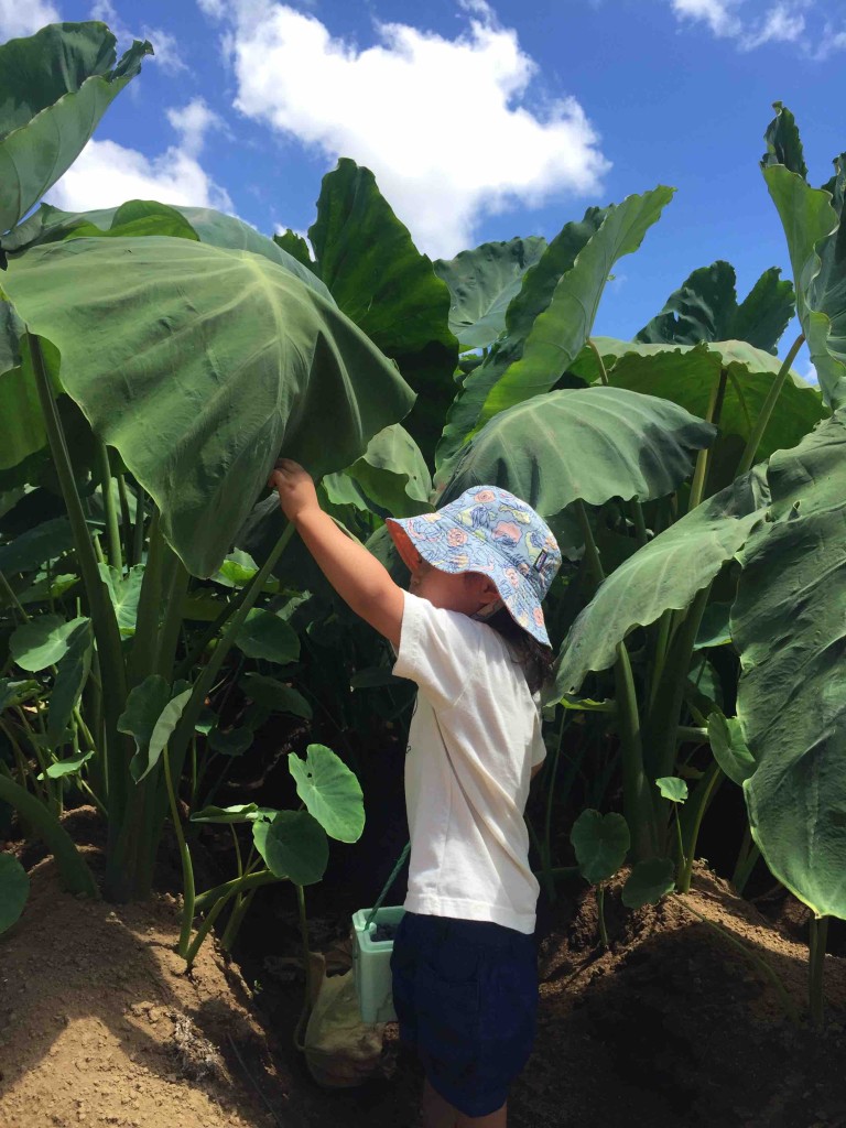 こんなコロボックル的な写真も撮れます。